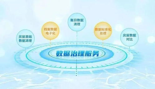 強基固本，鵬業數據治理服務獲客戶表彰